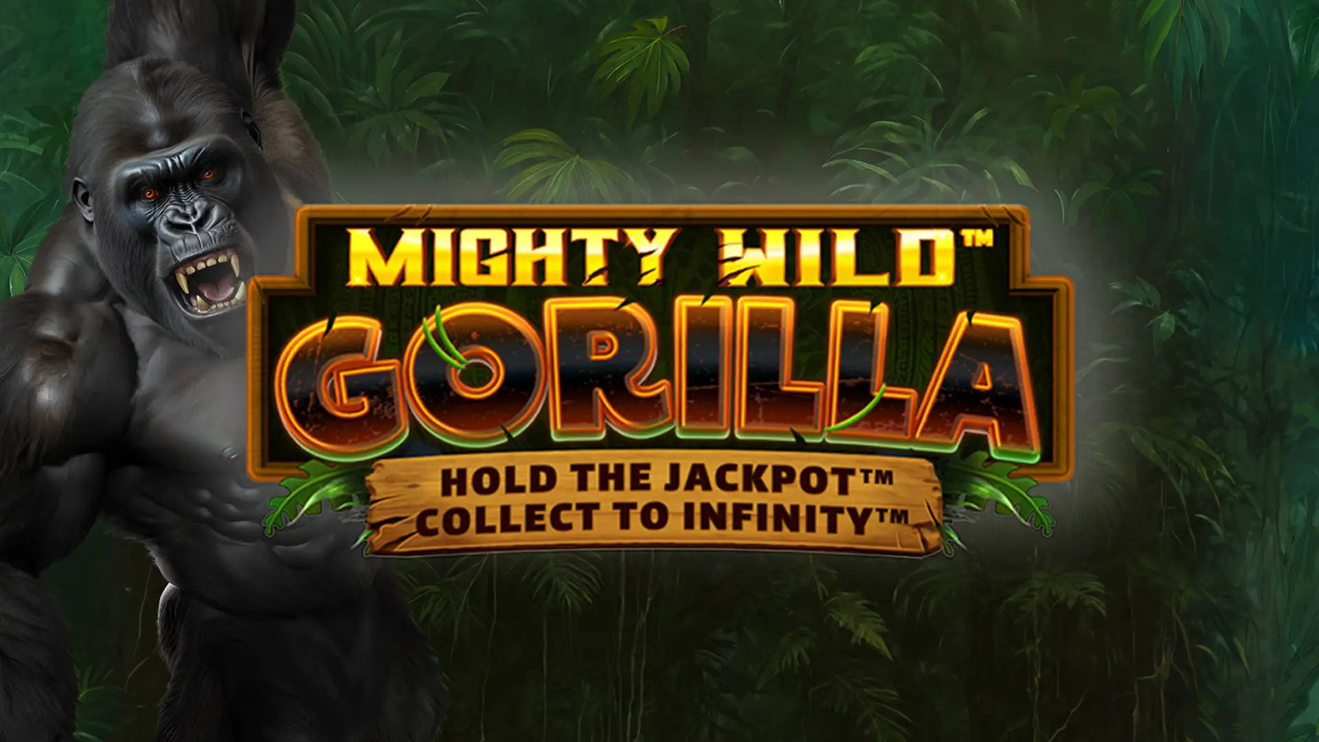 Mighty Wild Gorilla